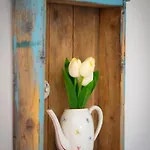 Tulipanos Porta * Sarud
