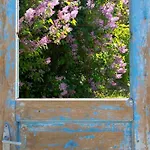 Tulipanos Porta *