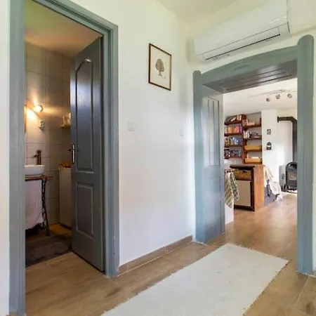 Tulipanos Porta *