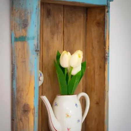 Tulipanos Porta * Sarud