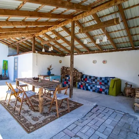 Tulipanos Porta *