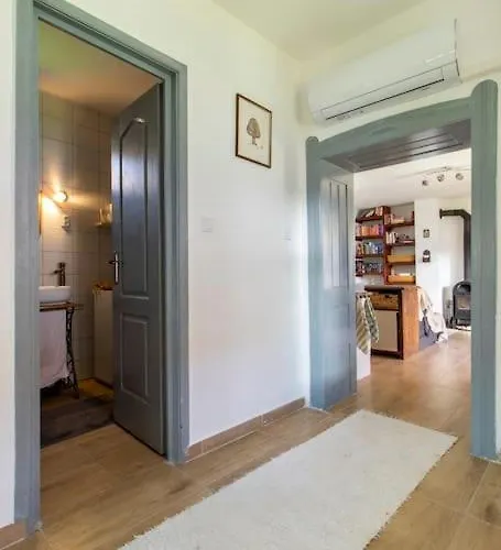 Tulipanos Porta *
