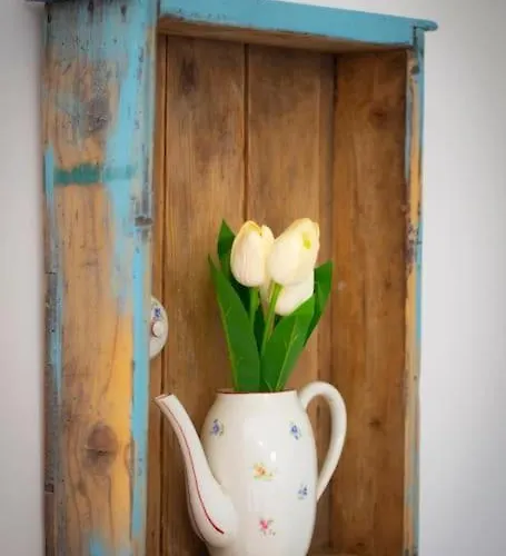 Tulipanos Porta * Sarud
