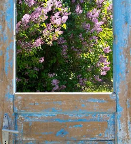Tulipanos Porta *